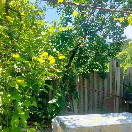 بورجومي Guest House Gogias Cixe المظهر الخارجي الصورة